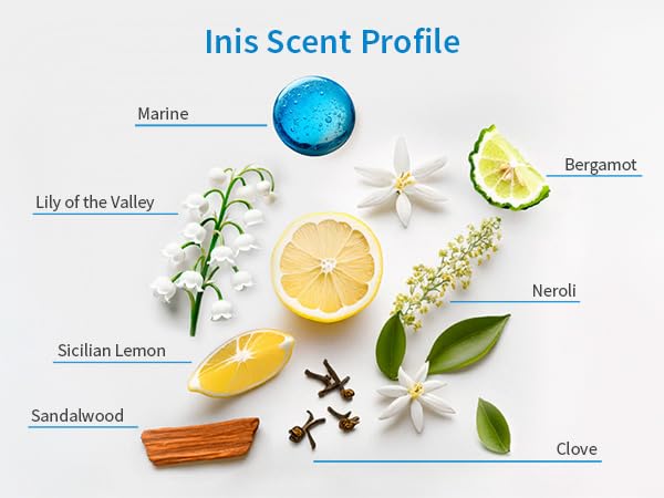 Inis the Energy of the Sea - Reed Diffuser Set with Fragrance Oil, Glass Bottle and Fibre Reeds, Clean Ocean Fresh Aquatic Home Fragrance for Living Room, Bathroom and Bedroom