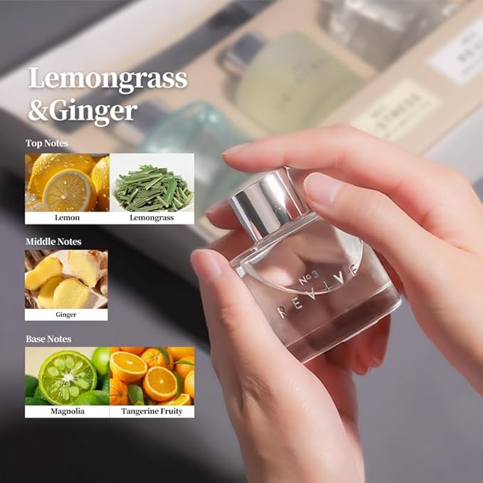 3 Pack Fragrance Reed Diffuser, 50ML Lavender Honey Jasmine White Tea Lemongrass Ginger Aromatherapy Diffuser Set with 12 Black Fiber Sticks,Air Freshener for Bedroom Bathroom Office