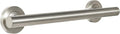 Lava Odoro Shower Grab Bar, Modern Stainless Steel Handicap Grab Bar for Bathtubs and Showers, Shower Safety Bar for Seniors Disabled, ADA-Compliant (Brushed Nickel, 12 Inch)