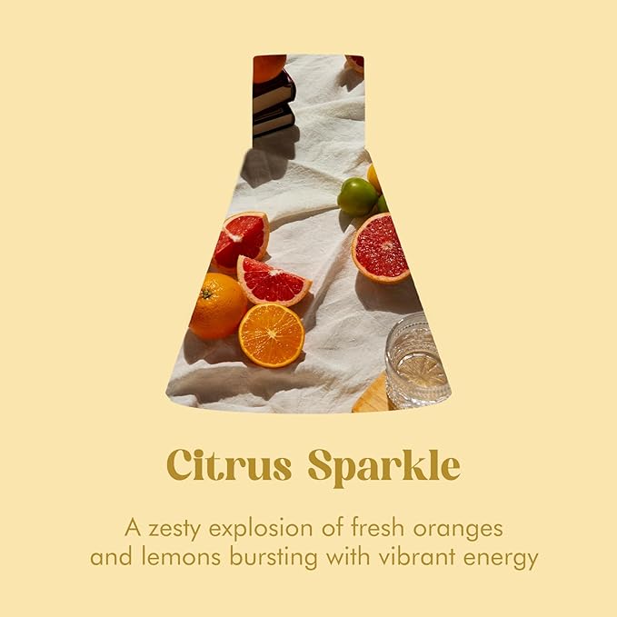 Reed Diffuser Set for Home, Citrus Scented Diffuser with 6 Diffuser Sticks, Home Fragrance Scent Essential Oil Stick Diffuser for Christmas Shelf Decor,3.4 oz
