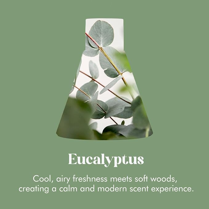 Azulfra Reed Diffuser Set, Eucalyptus Scented Diffuser for Home, Home Fragrance Scent Essential Oil Stick Diffuser for Room Shelf Decor, 3.4 oz