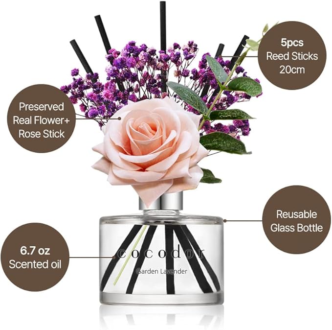 COCODOR Rose Flower Reed Diffuser/Black Cherry/6.7oz(200ml)/1 Pack/Reed Diffuser, Reed Diffuser Set, Oil Diffuser & Reed Diffuser Sticks, Home Decor & Office Decor, Fragrance and Gifts