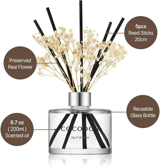 COCODOR Preserved Real Flower Reed Diffuser/Lemon Eucalyptus / 6.7oz(200ml) / 2 Pack/Reed Diffuser Set, Oil Diffuser & Reed Diffuser Sticks, Home Decor & Office Decor, Fragrance and Gifts