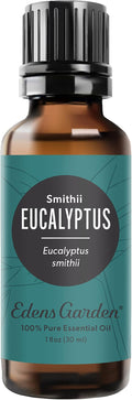 Edens Garden Eucalyptus- Smithii Essential Oil- 100% Pure Premium Grade, Undiluted, Natural, Therapeutic, Aromatherapy, The Best for Diffuser, Skin, Hair, Humidifiers 30 ml (1 fl oz)