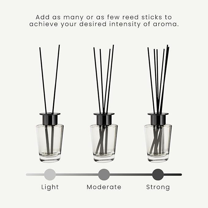 The Magic Scent Mahogany & Teakwood Reed Diffuser for Home - Luxury Scent Diffuser with Premium Fiber Reeds for Lasting Gentle Dispersal - Natural, Toxin-Free Aroma Inspired by Ambercrombie & Fitch