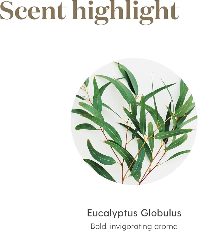 Young Living Eucalyptus Globulus Essential Oil | Cooling, Refreshing Aroma for Diffusion & Massage | Supports Breathing Comfort & Relaxation | Premium Seed to Seal® Quality Oil | 15ml