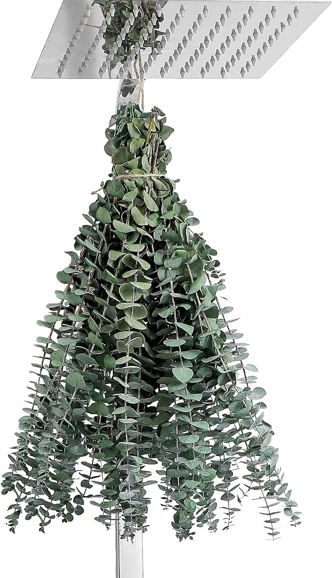 12 Pcs Eucalyptus for Shower Hanging 17" Real Eucalyptus Stems 100% Made from Fresh Leaves , Used for Wedding Decor Home Decor Farmhouse Decor. Dried Flowers