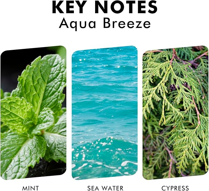 Xcleen Reed Diffuser Set, Aqua Breeze Scented Oil Diffuser with Sticks, Long-Lasting Home Fragrance Reed Diffusers for Bathroom Office Shelf, Room Fresheners 3.7 Oz