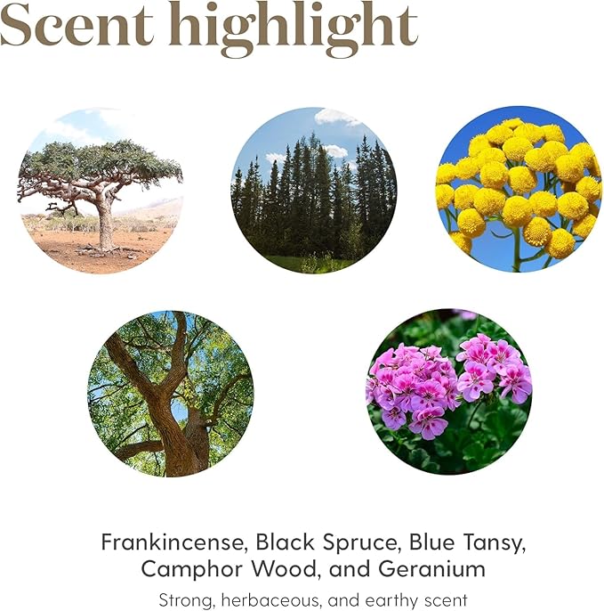 Young Living Valor Essential Oil - Empowering Blend with a Harmonious Blend of Black Spruce, Blue Tansy, Camphor Wood, Geranium, and Frankincense - 5ml Bottle for Courage and Confidence