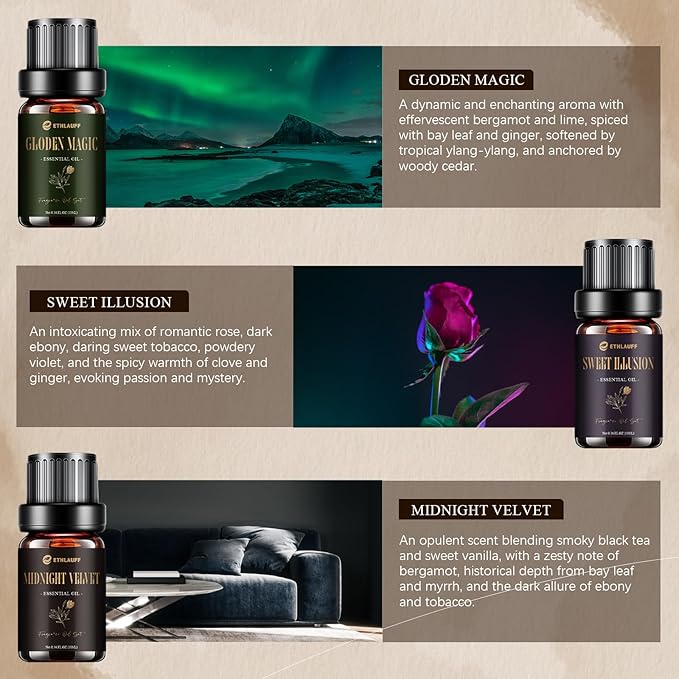 Hotel Collection Diffuser Oil, My Way, Dream State, Coastal Cabine, Inspired by The Most Popular 5-Star Hotel Scents, Fragrance Oil Set 6 * 10 ml