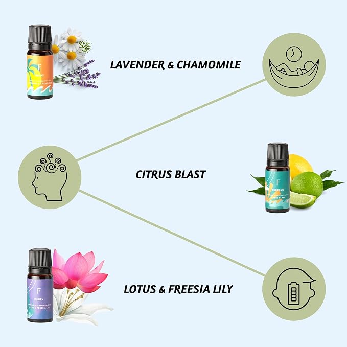 Folkulture Essential Oils Set for Diffuser | Set of 6 Everyday Aromatherapy Oils | Palo Santo, Lavender, Sandalwood, Citrus & Balanced Blend Oils | AM to PM Home Fragrance Oils & Wellness Gift Set