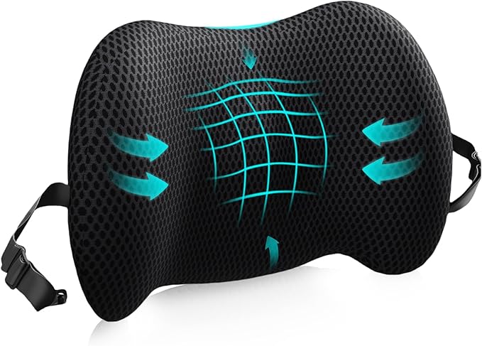 Lumbar Support Pillow for Office Chair, Car Lumbar Pillow Lower Back Pain Relief, Memory Foam Back Cushion with 4D Mesh Cover and Adjustable Straps, Ergonomic Chair Back Pillow for Car,Bed, Gaming