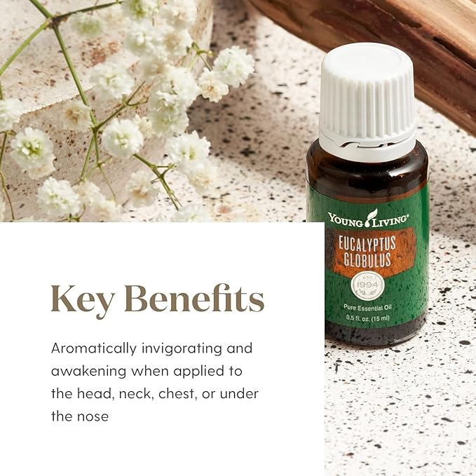Young Living Eucalyptus Globulus Essential Oil | Cooling, Refreshing Aroma for Diffusion & Massage | Supports Breathing Comfort & Relaxation | Premium Seed to Seal® Quality Oil | 15ml