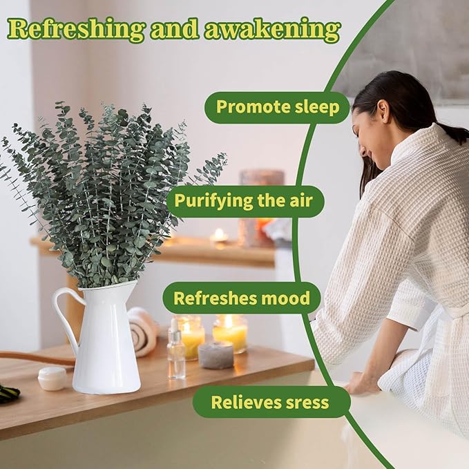 24 PCS Real Dried Eucalyptus Stems for Shower Hanging-17'' Large Preserved Plants Shower Plants Shower Stuff for Shower Decor, Fresh Eucalyptus Leaves, Fragrance, Bathroom Vase Decor