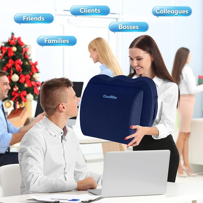 CloudBliss Lumbar Support Pillow & Seat Cushion Set for Office Chair, Desk Chair, Wheelchair & Car–Memory Foam Back Support,Ergonomic Chair Cushions, Sciatica Pain Relief,Home Essentials(Blue,XL)