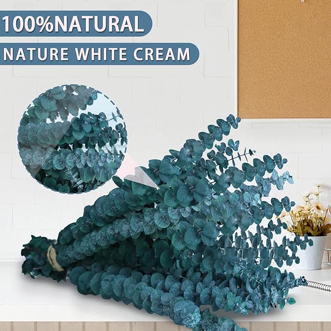 17 Pcs-Blue-Green-Dried-Preserved-Eucalyptus-Stems, 17" Real Hanging Eucalyptus for Shower, Natural Live Eucalyptus Greenery Leaves for Vase Filler, Home SPA, Fragrance, Flower Decor