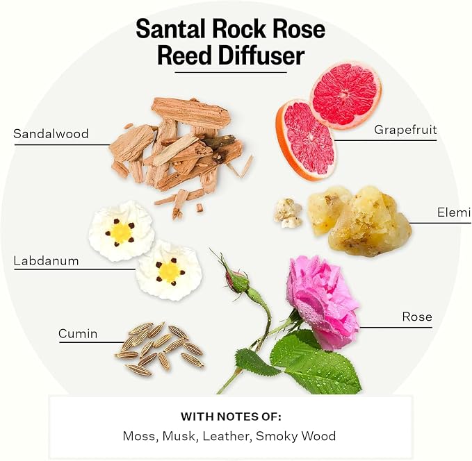 Apotheke Luxury Scented Reed Diffuser for Home, Santal Rock Rose - 6.7 Fl Oz Essential Oil Aromatherapy - 10 Rattan Scent Sticks Room Diffuser - Long-Lasting Fragrance for Bedroom, Home, Bathroom