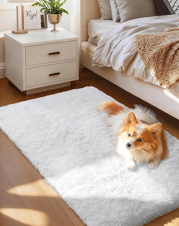 Ophanie Small Rug Washable Non Slip Throw Bedside Area Rugs, Fluffy Soft Mini Bedroom Carpet, Door Entryway Indoor Inside Front Entrance 2x4 Mat, Home Decor Aesthetic, White