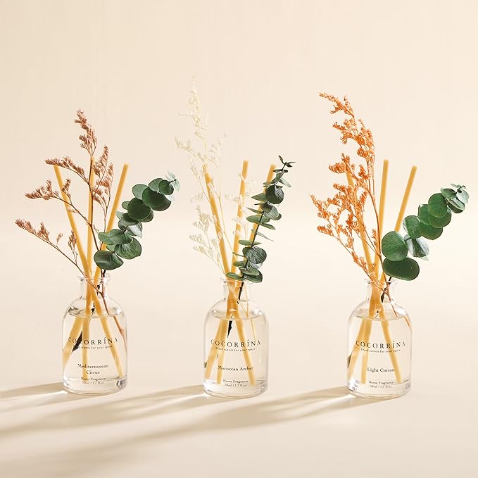 COCORRÍNA Eucalyptus Reed Diffuser Set of 3 - Light Cotton, Mediterranean Citrus, Moroccan Amber Scents, 1.7 fl oz Each, Total 5.1 oz, Scented Oil Diffusers for Home & Office
