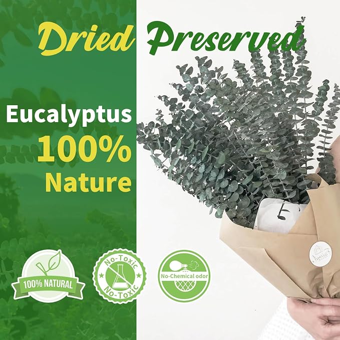 24 PCS Real Dried Eucalyptus Stems for Shower Hanging-17'' Large Preserved Plants Shower Plants Shower Stuff for Shower Decor, Fresh Eucalyptus Leaves, Fragrance, Bathroom Vase Decor