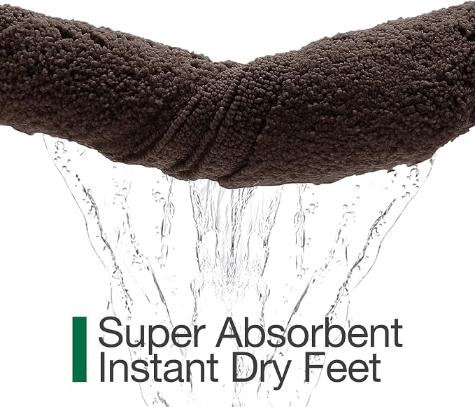 LUMI Ultra Soft Bathroom Rugs Non Slip with Rubber Backing, Absorbent Washable Bath Mat Quick Dry, Upgraded Premium Microfiber Plush Carpet for Bathtub and Shower Floor, Brown, 24x36