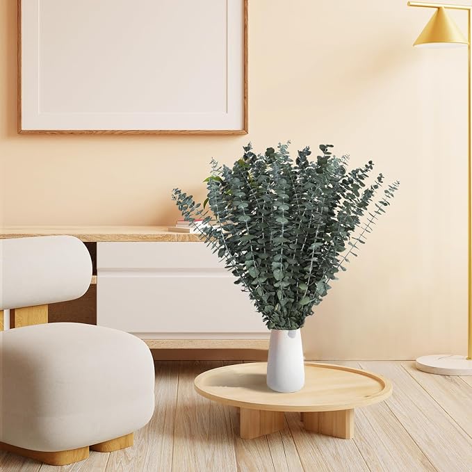 24 PCS Real Dried Eucalyptus Stems for Shower Hanging-17'' Large Preserved Plants Shower Plants Shower Stuff for Shower Decor, Fresh Eucalyptus Leaves, Fragrance, Bathroom Vase Decor