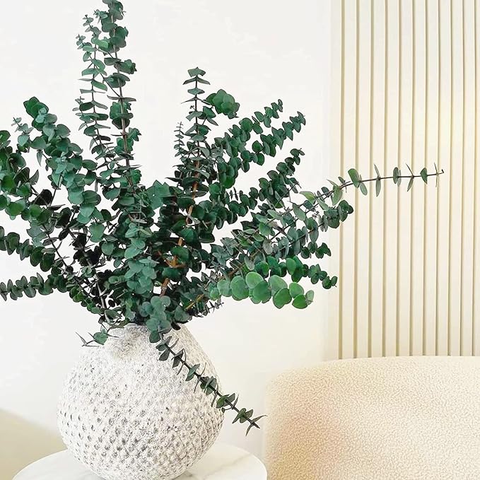 30 Pcs Dried Preserved Eucalyptus Stems Shower Bundle, 9oz 17" 100% Natural Fresh Eucalyptus Plant, Real Eucalyptus Leaves Branches for Shower Vase Filler, Dried Flowers Arrangement Home Decor