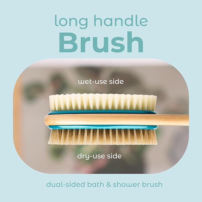 MainBasics Back Scrubber Shower Brush Long Handle Dual Sided Body Brush with Exfoliating Soft Bristles for Back Scrubbing Deep Cleaning and Body Wash (Teal)