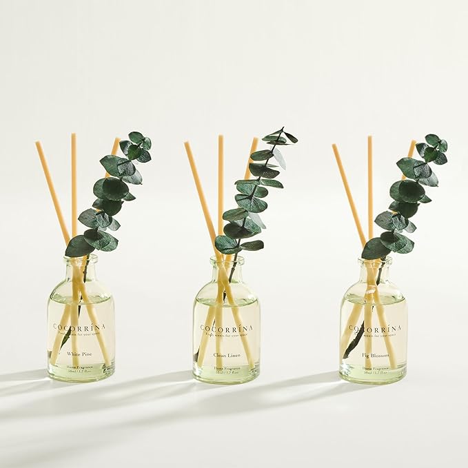 COCORRÍNA Eucalyptus Reed Diffuser Set of 3 - Clean Linen, White Pine, Fig Blossom Scents, 1.7 fl oz Each, Total 5.1 oz, Scented Oil Diffusers for Home & Office
