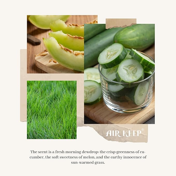 Airkeep Reed Diffuser Set,3.38 fl oz (100 ml) - Cucumber Melon Oil Diffusers with 8 Reed Sticks, Home Fragrance Reed Diffuser for Bathroom Shelf Decor