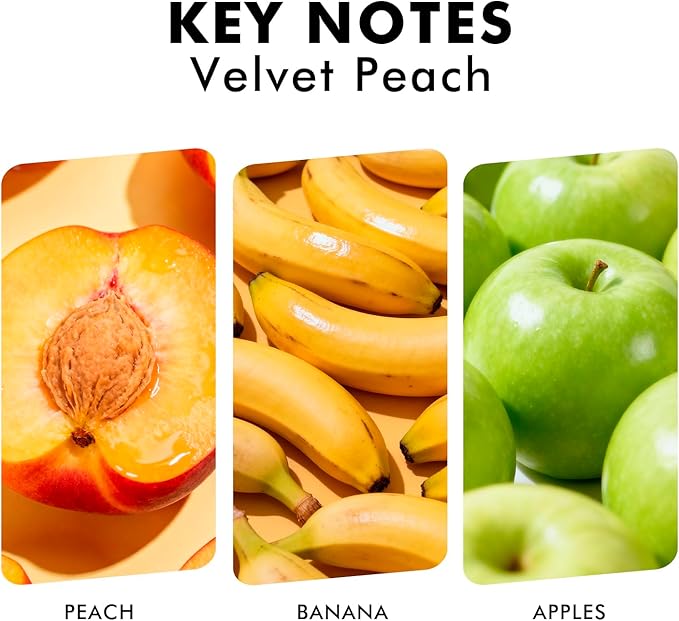 Xcleen Reed Diffuser Set, Velvet Peach Scent Fragrance Oil Diffuser, Reed Diffusers for Home, Bathroom Air Fresheners & Decor