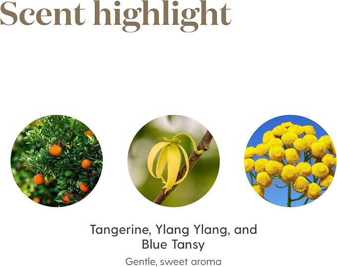 Young Living Peace & Calming Essential Oil | 15ml | Tranquil Aromatherapy Blend | Calm, Relaxing & Peaceful | Topical & Aromatic Use | Blue Tansy, Orange, Tangerine, Patchouli, & Ylang Ylang