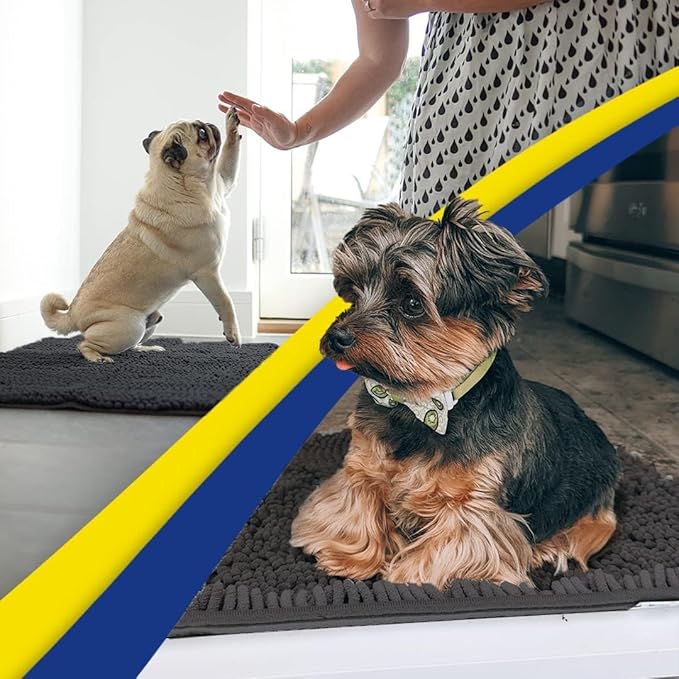 Muddy Mat® | Super Absorbent Door Mat Indoor, Microfiber Quick Dry Chenille Entryway Rug, Non-Slip Front Door Mat, Indoor Mats for Entryway, Machine Washable Pet Rug, Charcoal 24"x36"