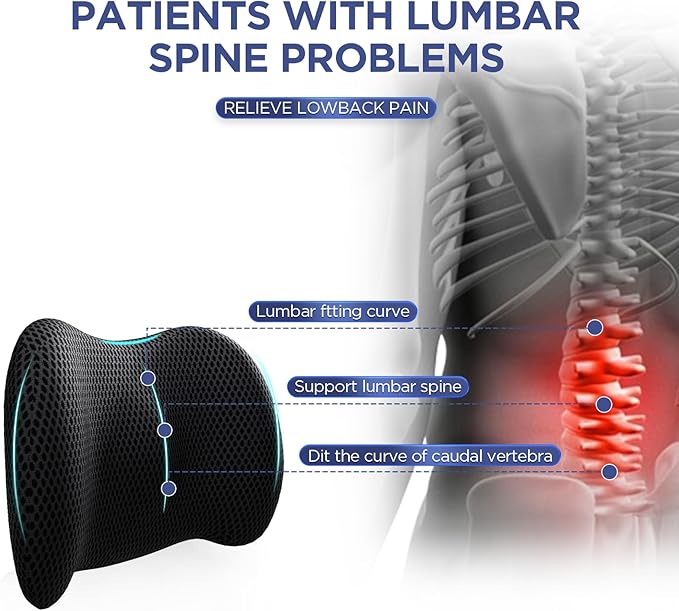 Lumbar Support Pillow for Office Chair, Car Lumbar Pillow Lower Back Pain Relief, Memory Foam Back Cushion with 4D Mesh Cover and Adjustable Straps, Ergonomic Chair Back Pillow for Car,Bed, Gaming