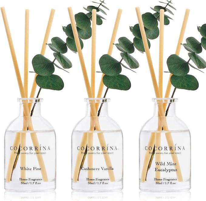 COCORRÍNA Eucalyptus Reed Diffuser Set of 3 - Wild Mint & Eucalyptus, White Pine, Cashmere Vanilla Scents, 1.7 fl oz Each, Total 5.1 oz, Scented Oil Diffusers for Home & Office