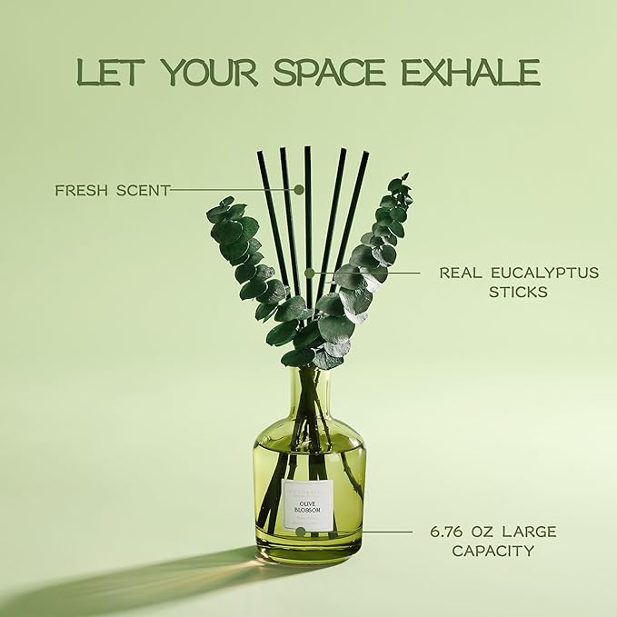 COCORRÍNA Olive Blossom Reed Diffuser – 6.76 oz Essential Oil with 8 Reeds & Real Eucalyptus Sticks, Home Fragrance for Bedroom or Bathroom Décor