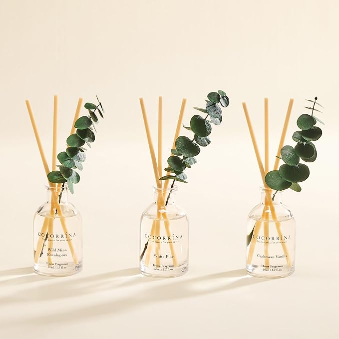 COCORRÍNA Eucalyptus Reed Diffuser Set of 3 - Wild Mint & Eucalyptus, White Pine, Cashmere Vanilla Scents, 1.7 fl oz Each, Total 5.1 oz, Scented Oil Diffusers for Home & Office