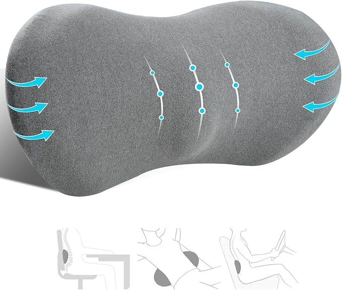kasney Lumbar Support Pillow, Memory Foam Lumbar Pillow for Lower Back Pain Relief, Back Support Pillow for Office Chair, Car Seat - Dark Gray