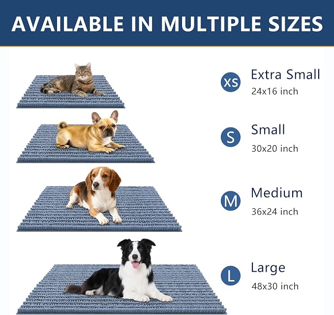 Smiry Dog Door Mat for Muddy Paws 36x24, Absorbent Dirt Trapper, Non-Slip Washable Chenille Entryway Rug for Inside Floor, Airy Blue, Layered Pattern