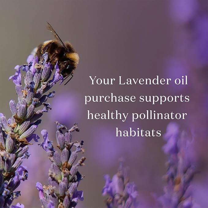 Lavender Essential Oil 5ml by Young Living – Pure Lavender Oil for Aromatherapy, Essential Oil Diffuser, Skin & Relaxation, Essential Oils for Diffuser & Home Use