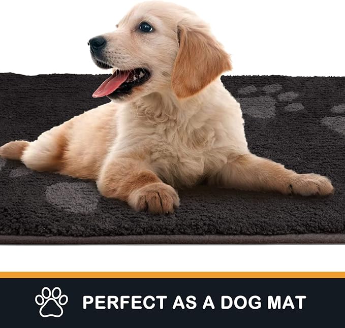 PURRUGS Dirt Trapping Door Mat 24" x 35.5", Non-Skid/Slip Machine Washable Microfiber Entrance Rug, Shoes Scraper, Dog Doormat, Super Absorbent Floor Mat for Muddy Wet Shoes and Paws, Charcoal