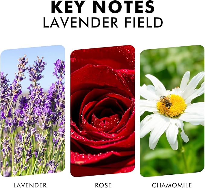 Xcleen Reed Diffuser Set, Lavender Field Oil Diffuser with Sticks, Long-Lasting Home Fragrance Reed Diffusers for Bathroom Shelf Office Decor, Luxury Air Fresheners 3.7 oz(110ml)