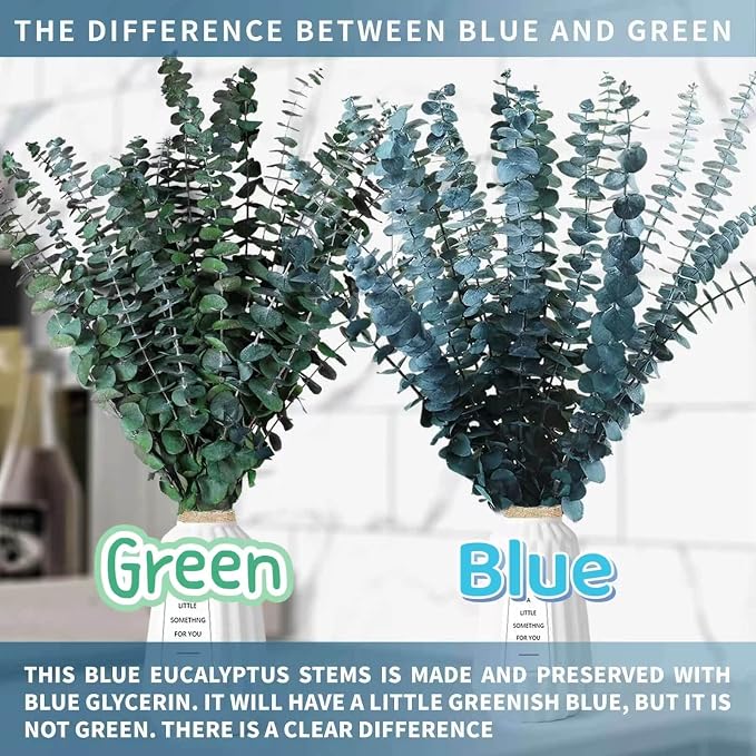 17 Pcs-Blue-Green-Dried-Preserved-Eucalyptus-Stems, 17" Real Hanging Eucalyptus for Shower, Natural Live Eucalyptus Greenery Leaves for Vase Filler, Home SPA, Fragrance, Flower Decor