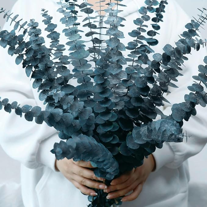 17 Pcs-Blue-Green-Dried-Preserved-Eucalyptus-Stems, 17" Real Hanging Eucalyptus for Shower, Natural Live Eucalyptus Greenery Leaves for Vase Filler, Home SPA, Fragrance, Flower Decor