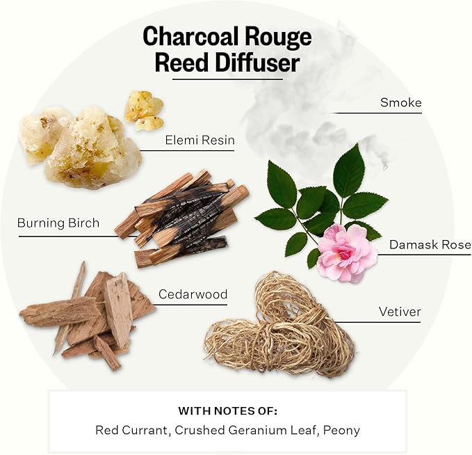 Apotheke Luxury Scented Reed Diffuser for Home, Charcoal Rouge - 6.7 Fl Oz Essential Oil Aromatherapy - 10 Rattan Scent Sticks Room Diffuser - Long-Lasting Fragrance for Bedroom, Home, Bathroom