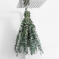 12 Pcs Eucalyptus for Shower Hanging 17" Real Eucalyptus Stems 100% Made from Fresh Leaves , Used for Wedding Decor Home Decor Farmhouse Decor. Dried Flowers