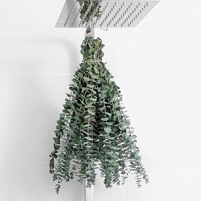 12 Pcs Eucalyptus for Shower Hanging 17" Real Eucalyptus Stems 100% Made from Fresh Leaves , Used for Wedding Decor Home Decor Farmhouse Decor. Dried Flowers