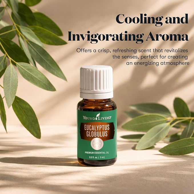 Young Living Eucalyptus Globulus Essential Oil | Cooling, Refreshing Aroma for Diffusion & Massage | Supports Breathing Comfort & Relaxation | Premium Seed to Seal® Quality Oil | 5ml