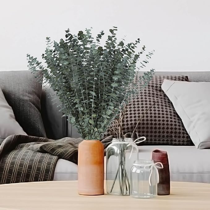 41 PCS Dried Preserved Eucalyptus Bundle for Shower-17'' Real Large Dried Eucalyptus Stems Shower Plants for Shower Hanging, Fresh Eucalyptus Leaves, Fragrance, Bathroom Vase Decor