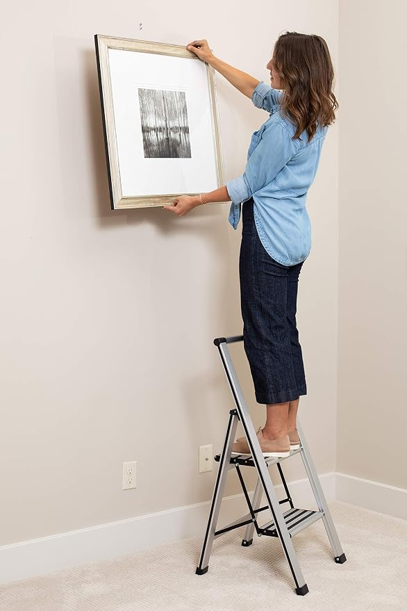 BIRDROCK HOME 2 Step Ladder | Folding Anti-Slip Step Stool, 250 lb Capacity | Lightweight, Slim & Sturdy Design for Household, Kitchen, Garage, Indoor & Outdoor Use | Collapsible, Portable, Heavy-Duty
